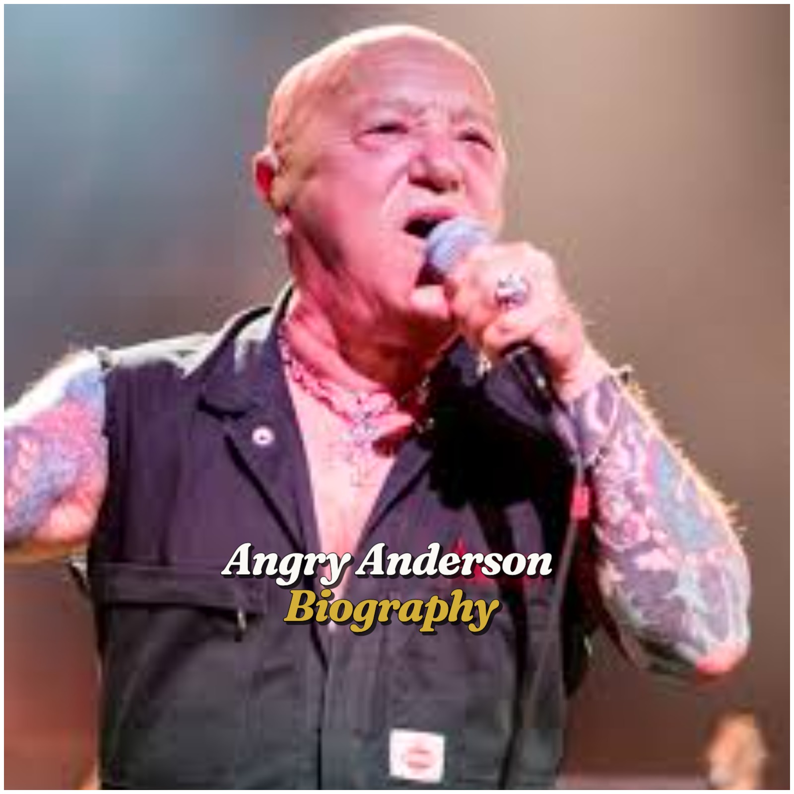Angry Anderson Biography