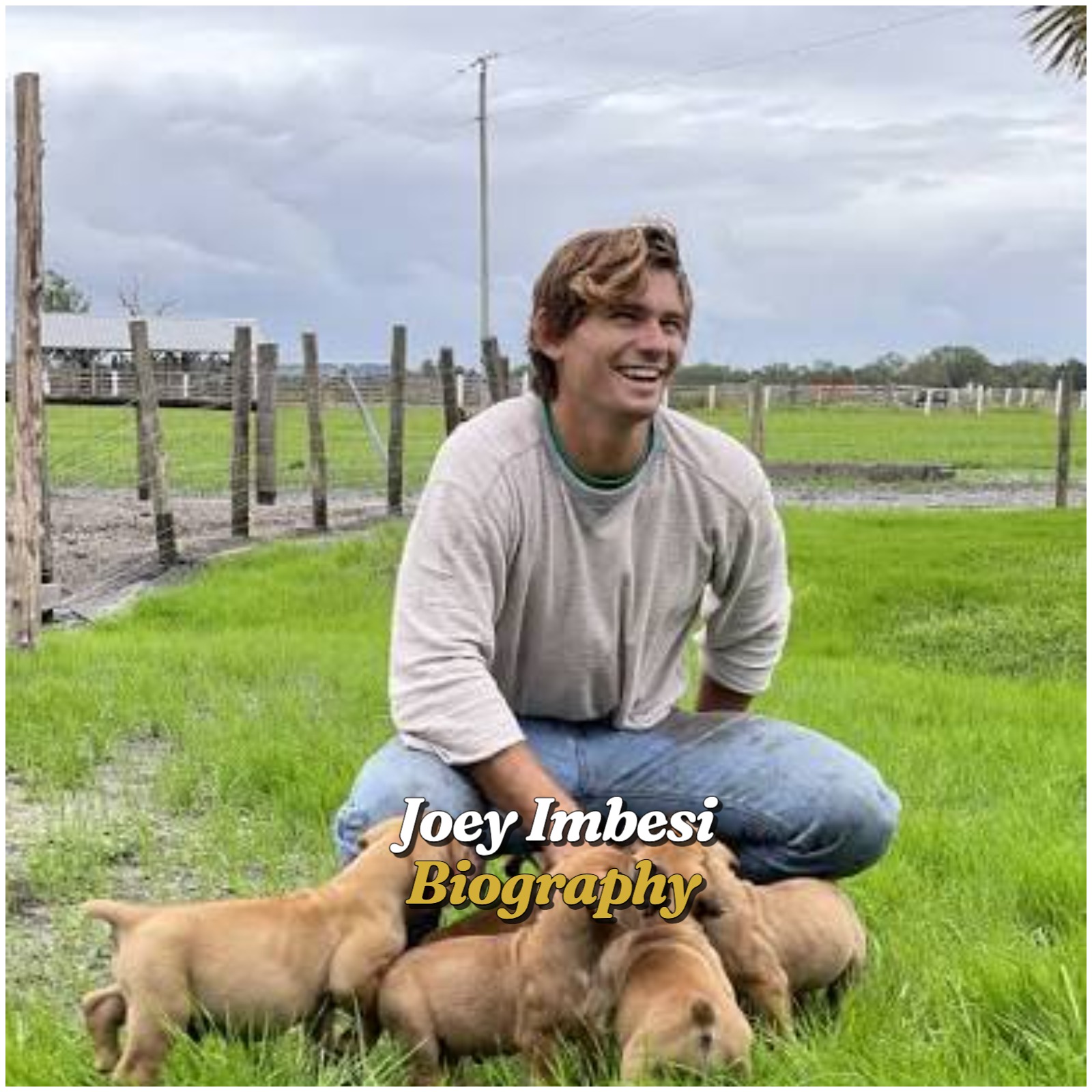 Joey Imbesi Biography