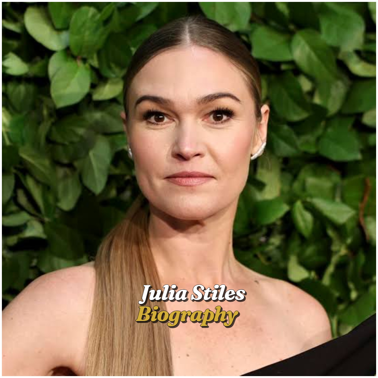 Julia Stiles Biography