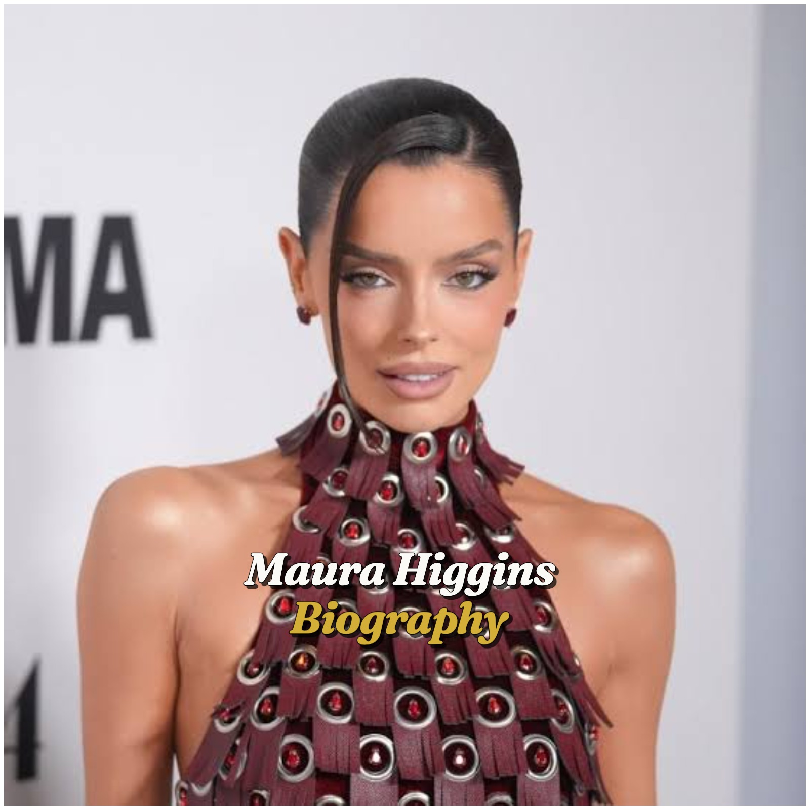 Maura Higgins Biography