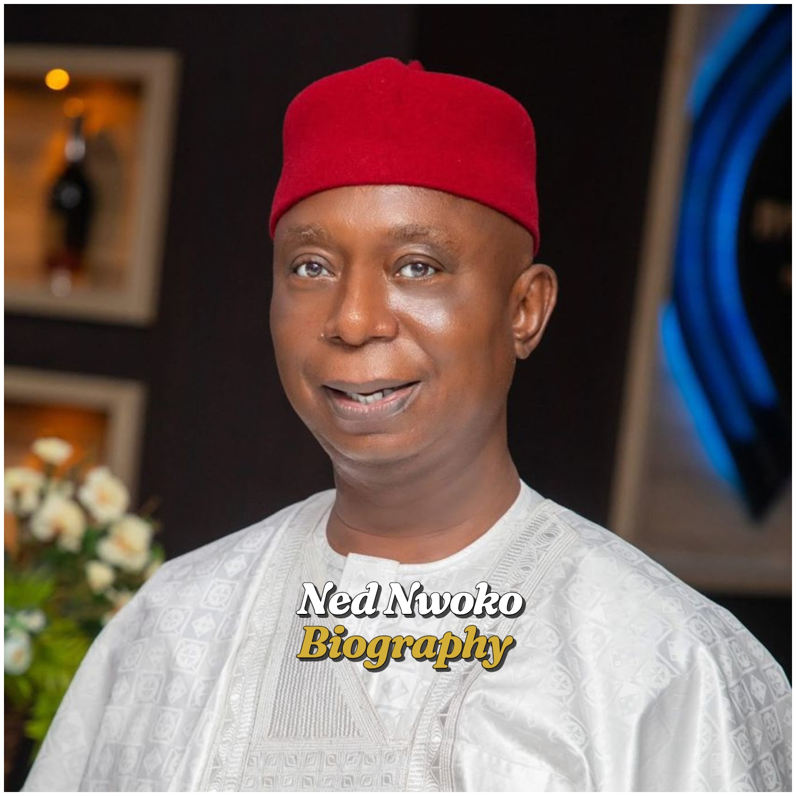 Ned Nwoko Biography