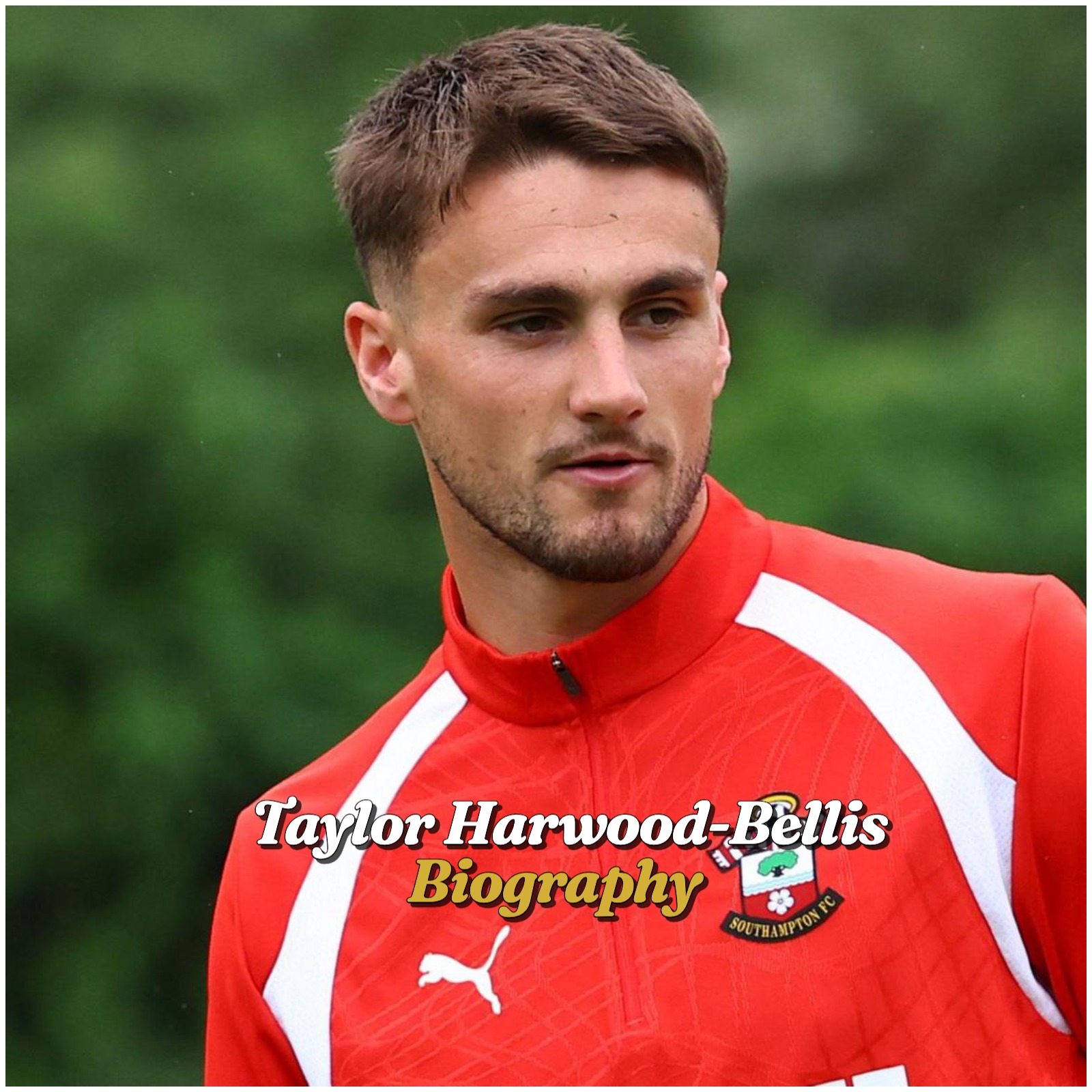 Taylor Harwood Bellis Biography
